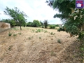 Image du bien API423947